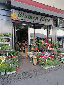 Blumen Kiste