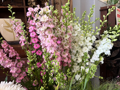Amani Blumen