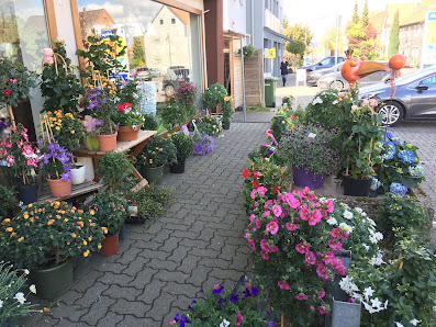 Blumen-Eck Nötzel