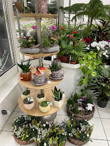 Blumen Regener