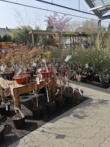 Garten-Center Nordharz GmbH & Co. KG