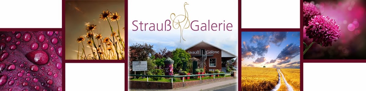 Strauß Galerie