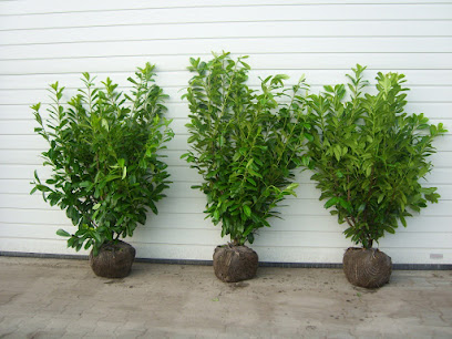 Gartencenter