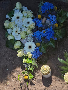 Blumen Edelweiss Garbsen Planetencenter