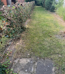 Bini - M Gartenbau & Reinigung