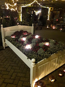 Blumen Lüschen