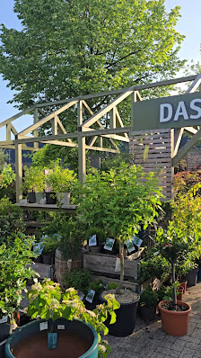 Oldenburger Wohngarten