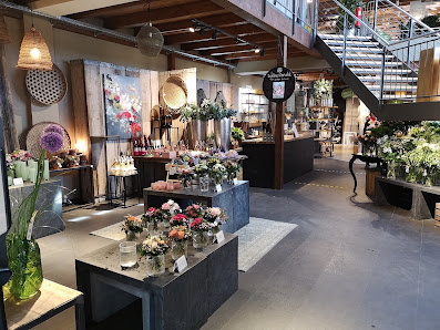 Löschau Dekoration, Blumen und Pflanzen, Raumbegrünung,Hydrokulturen