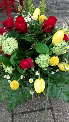 Blumenstube Rex