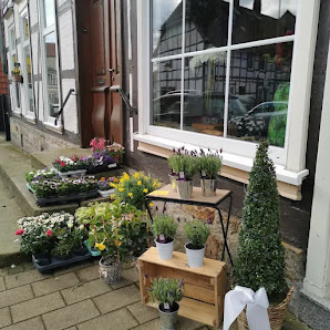 Blumenstube Rex