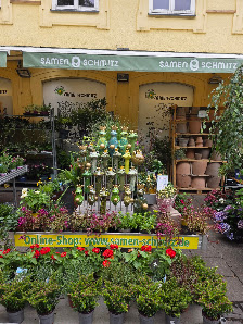 Samen Schmitz GmbH