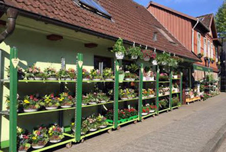 Floristik - Blumenhaus Staeck in Celle