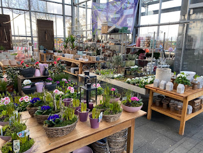 E. Lochte Gartengestaltung GmbH & Co.KG