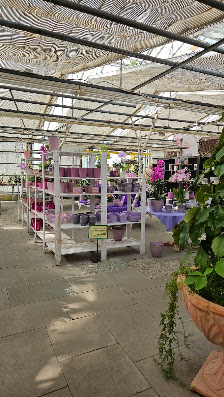 Orchideen-Zentrum Wichmann e. K.