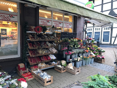 BLUME2000 Celle
