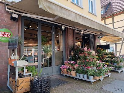 Blumengeschäft in Celle