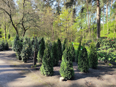 Sandau und Heindorff Gartengestaltung GmbH