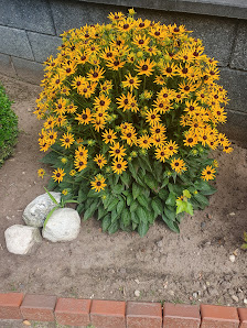 Planten und Blomen