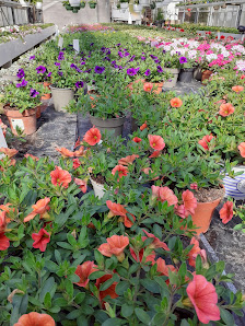 Blumenhaus Brunken Friedhofsgärtnerei