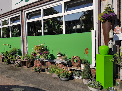 Blumen und Impressionen Thölke