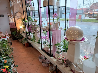 Blumen und Impressionen Thölke
