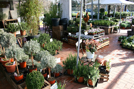 Gärtnerei und Blumen Thomßen