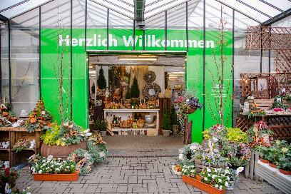 Gärtnerei Wolfgang Haucap - Bissendorf / Natbergen