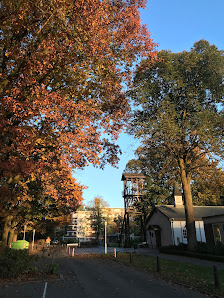 Aulenkamp-Garten & Landschaftsbau