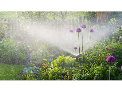 Broxtermann Garten - u. Landschaftsbau GmbH & Co KG