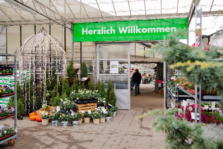 Gärtnerei Wolfgang Haucap - Wallenhorst / Hollage