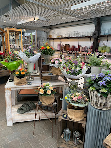 Blumen Wöhnecke