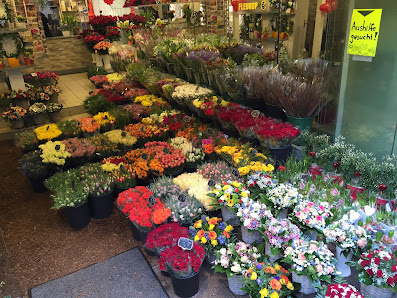 Blumen aus Holland