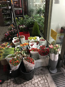Blumen & Pflanzen