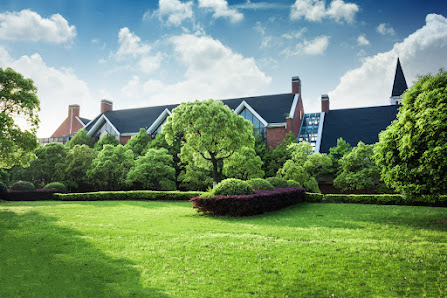 LüneGrün - Garten und Landschaftsbau Galabau Gartenpflege Terrassenbau Pflasterarbeiten Rollrasen Baumpflege Heckenschnitt