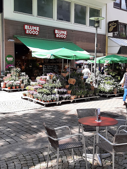 BLUME2000 Hildesheim