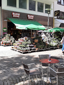 BLUME2000 Hildesheim