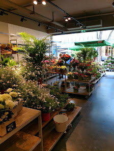 BLUME2000 Hildesheim
