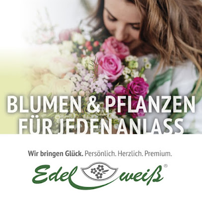 Blumen Edelweiss Hannover Langenhagen