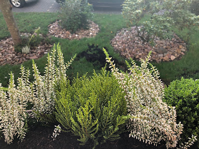 Gartenpflege B&S Gartenbaubetrieb e.k