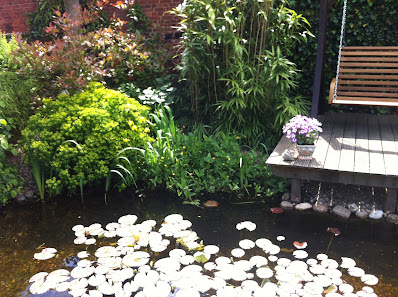 Gartenpflege B&S Gartenbaubetrieb e.k