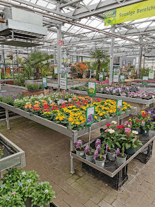 Gartencenter / Gärtnerei Klipphahn