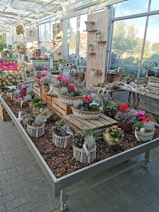 Gartencenter / Gärtnerei Klipphahn