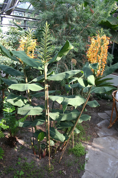 Osterwalder Gartencenter