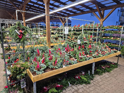 Gartencenter Neumann GmbH