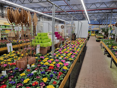 Gartencenter Neumann GmbH