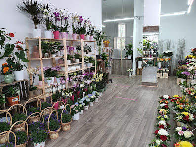 Blumen und Pflanzen
