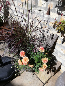 Blumenhaus Katt