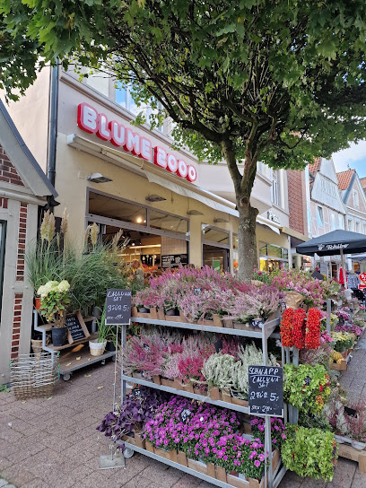 BLUME2000 Stade