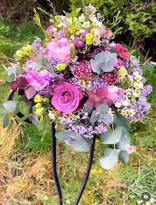 Blumenhaus Kaktusblüte