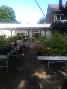 Blumen Pieper